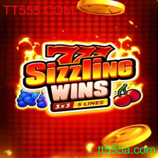 Desvendando o Mundo de 777sizzlingwins no TT555.COM